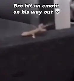 Emote Out