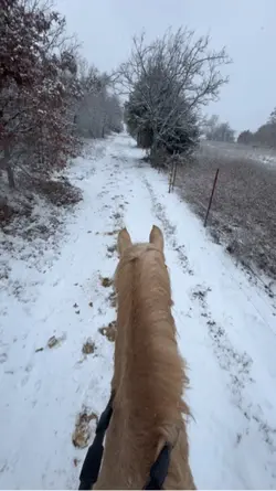 ⚠️FAKE AI GENERATED⚠️