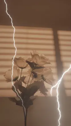 Fight Or Flight Mode