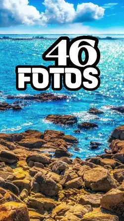 46 Fotos 
