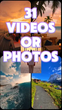 31 videos or photos