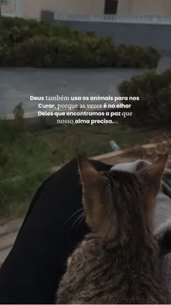 Animais