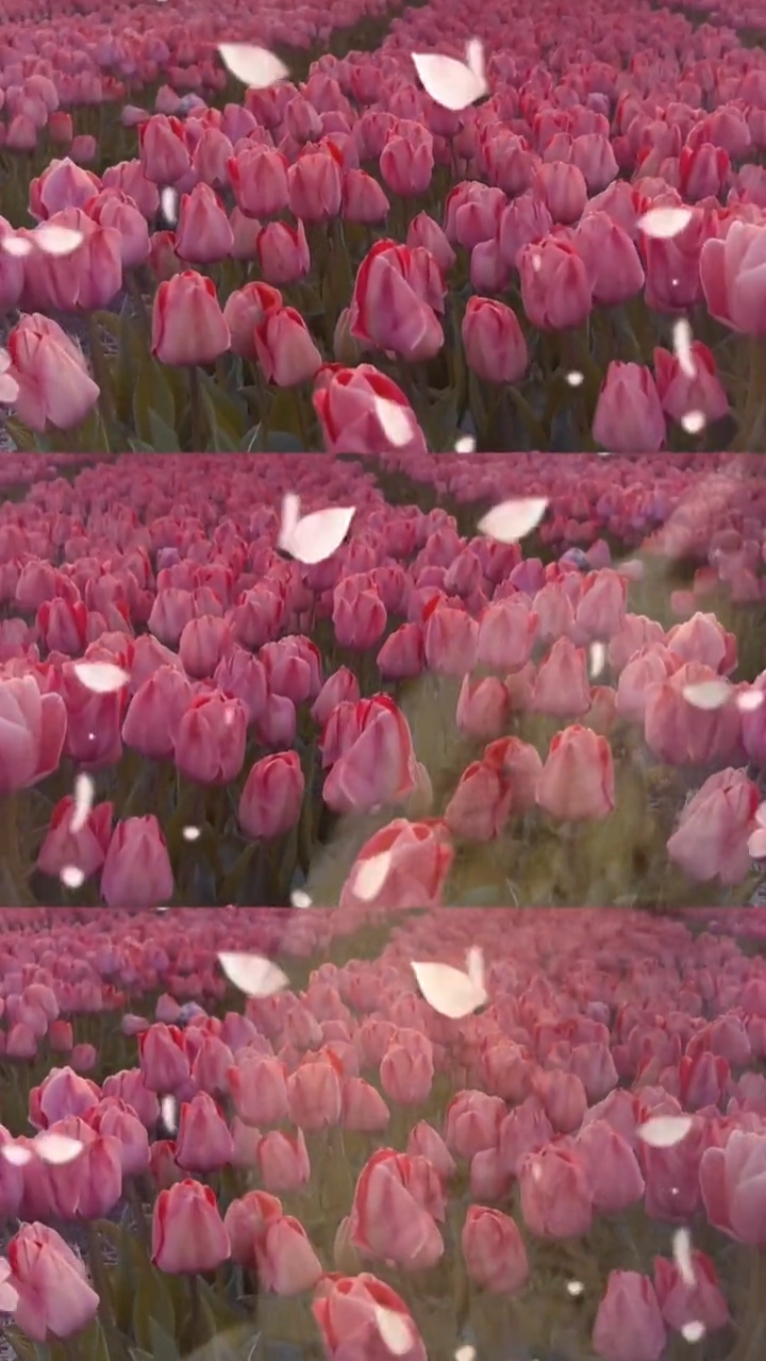 Breath Of Spring 