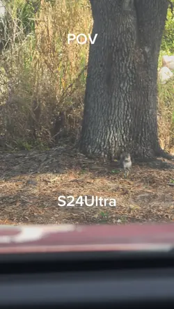 pov 24Ultra