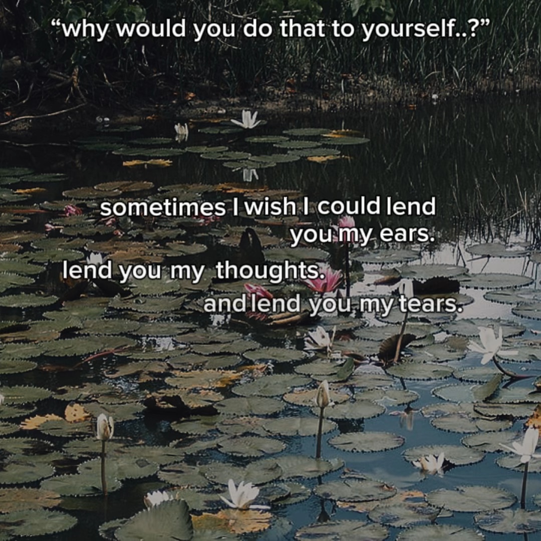 lend you my tears