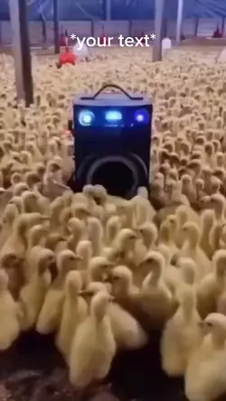 They got a moshpit