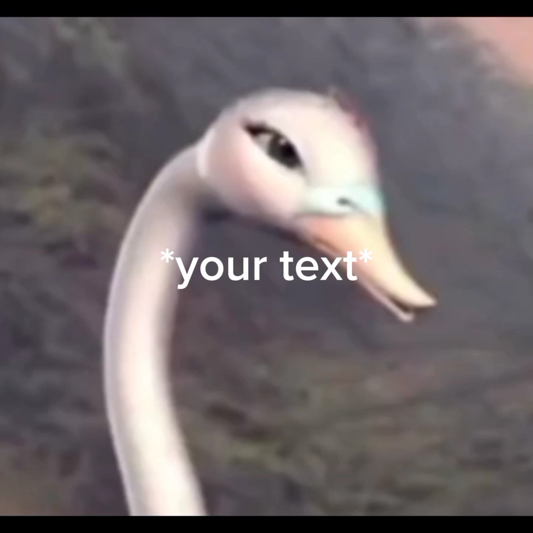 bird falling meme