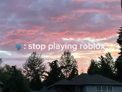 Stop playing Roblox”