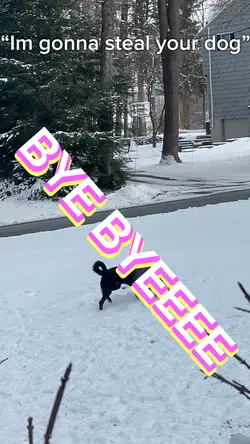 Bye bye 🥱😘