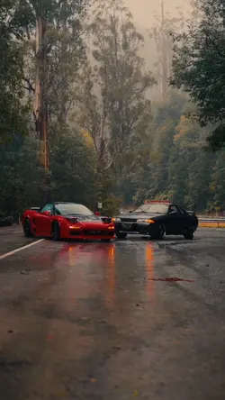 CAR | TREND MUSIC😈