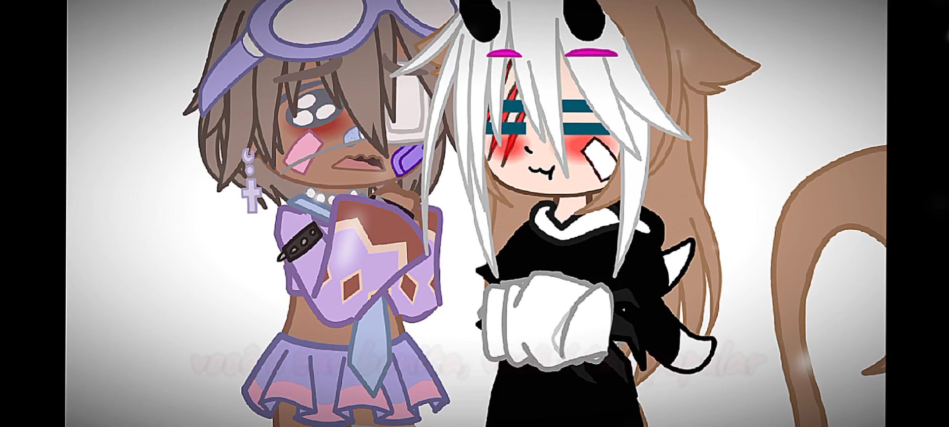 Te amo minha gata