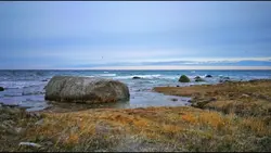 "Keep shining, the w