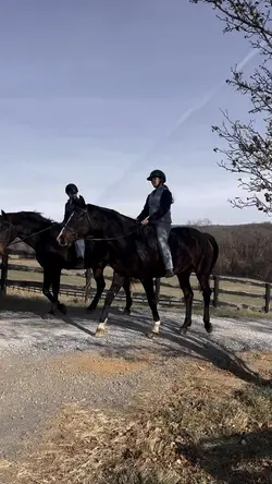 ⚠️NOT REAL⚠️ |