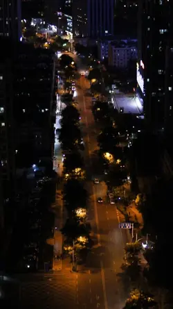City Life