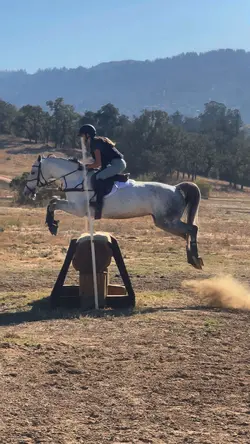 reyrey✈️ | ⚠️FAKE⚠️