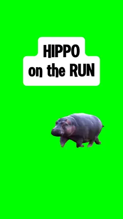HIPPO ON THE RUN