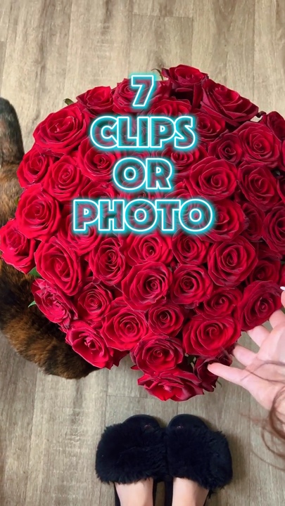 7 clips or photo 