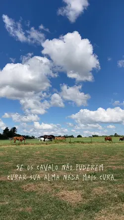 Se os cavalos…