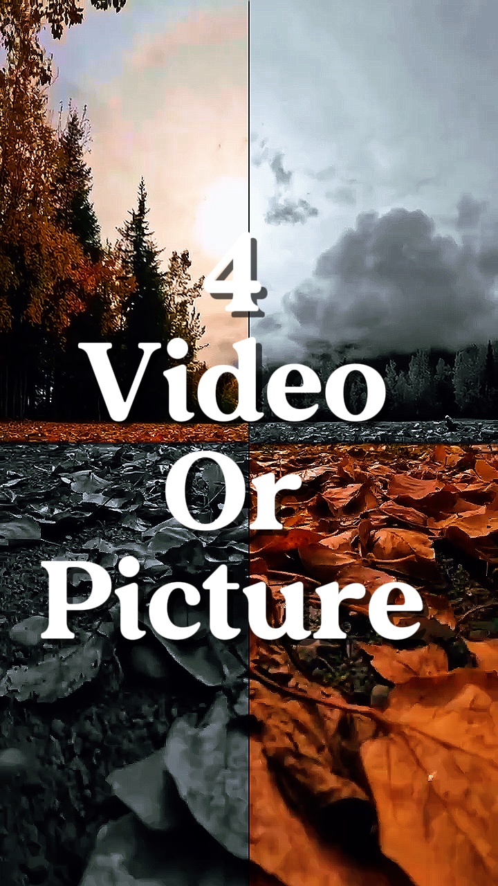 4 video or picture 