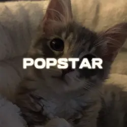 POPSTAR!