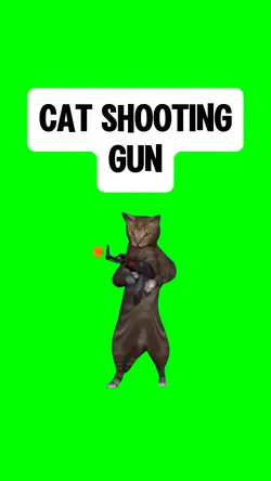 CAT SHOOTING GUN