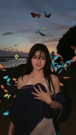 Butterflye effect