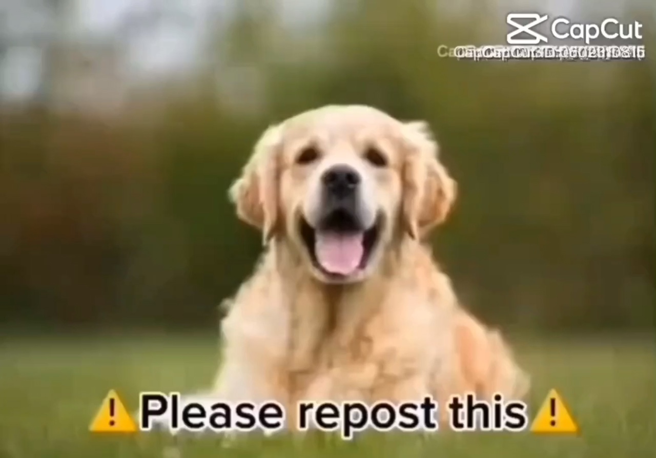 Pls Help Spread This