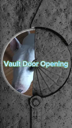 Vault Door Opening