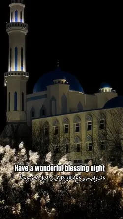 Have a blessed night