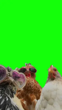 chicken dance