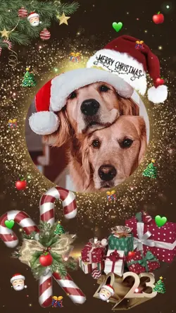 Natal chegando🎅🎄