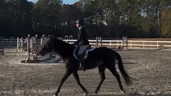 let the world burn🔥🔥