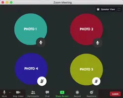 ZoomCall With Friend