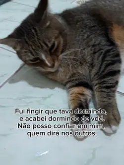 confiar