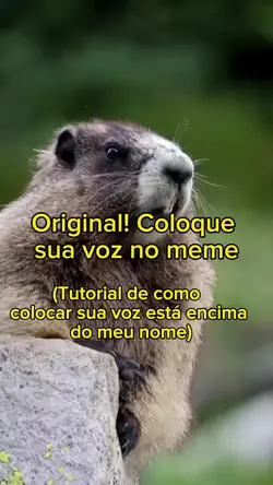 Colocar voz marmorta