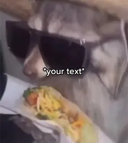 Taco raccoon