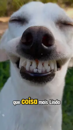 Que coisa linda
