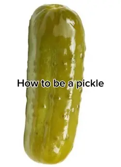 How to be a Pickle 