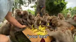 Bananas