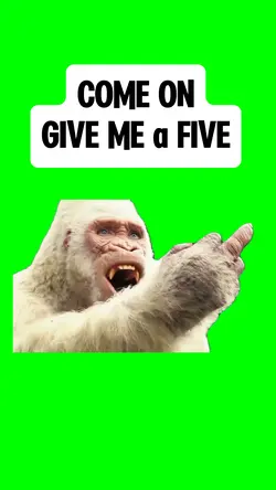 GIVE ME A FIVE