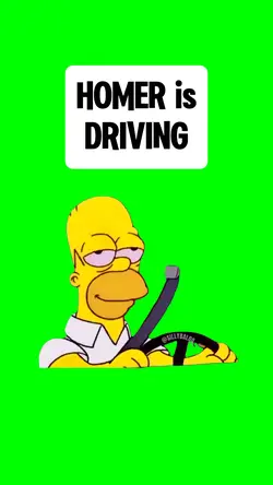 HOMER is DRIVING