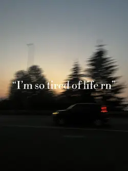 Stuffed animal ❤️