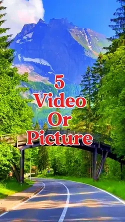 5 video or picture 