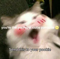 You’re not ugly