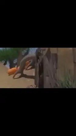 pp poo poo check
