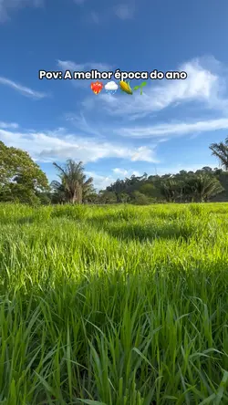 melhor época do ano