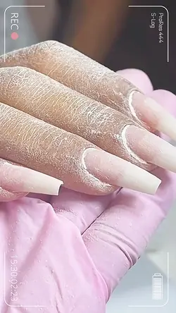 Light, Câmera,action