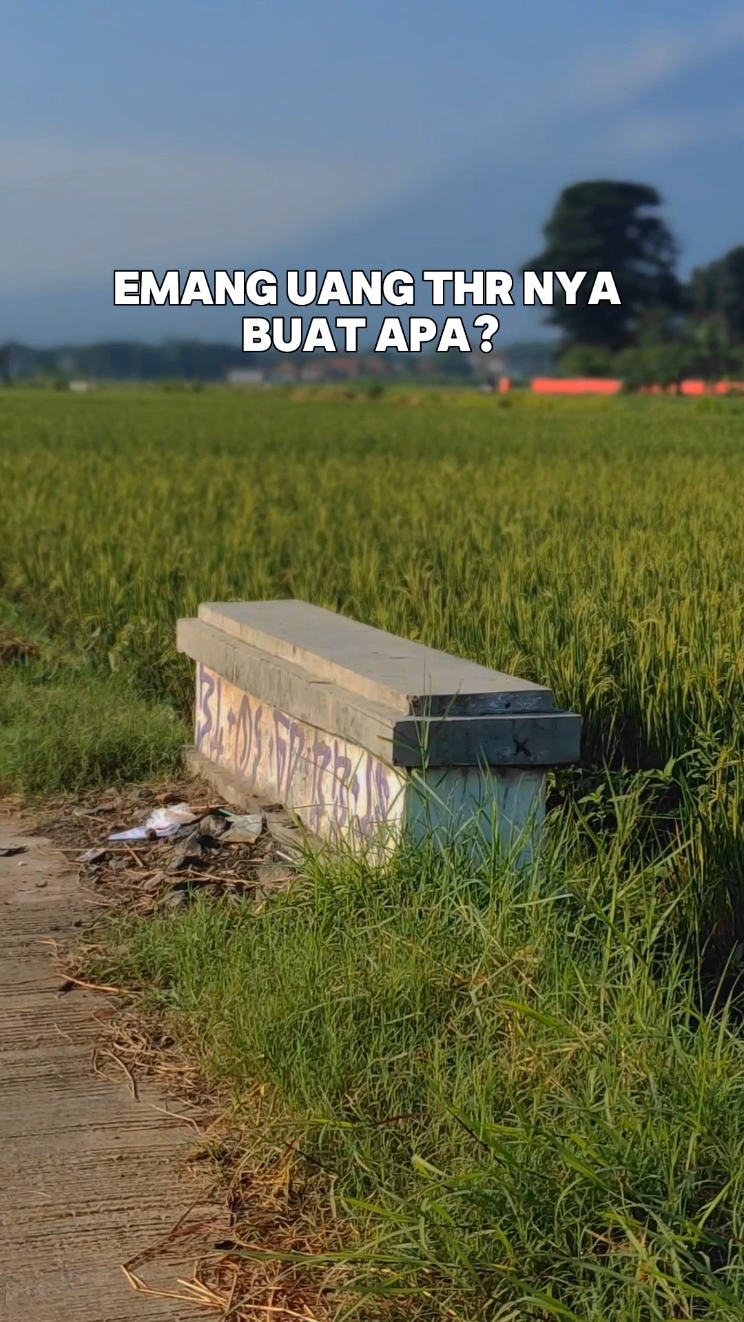 TREN THR CINEMATIK