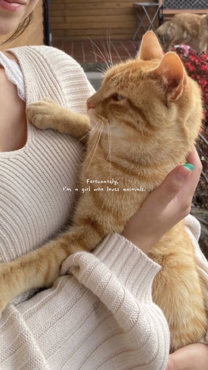 animal lover 