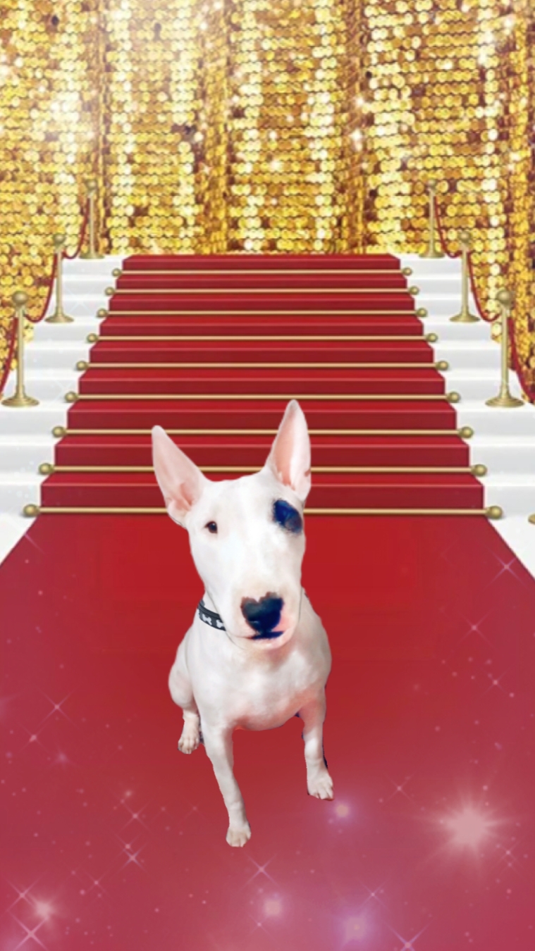 Red Carpet Pose